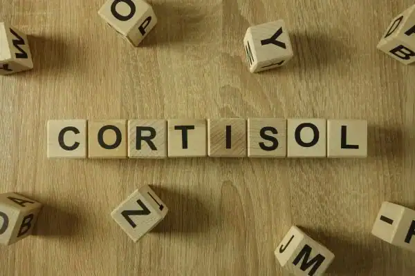 Image saying "Cortisol" and how stress Portsmouth  impacts your wellbeing and bodies shape